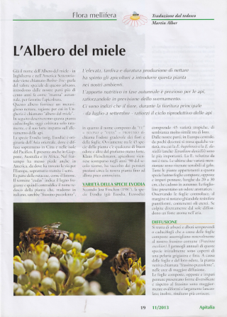 L'albero del  Miele - Rivista Apitalia